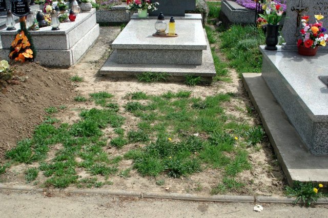 Andrzej Jedziniak 1948 Kołaczyce - Grobonet - Wyszukiwarka osób pochowanych