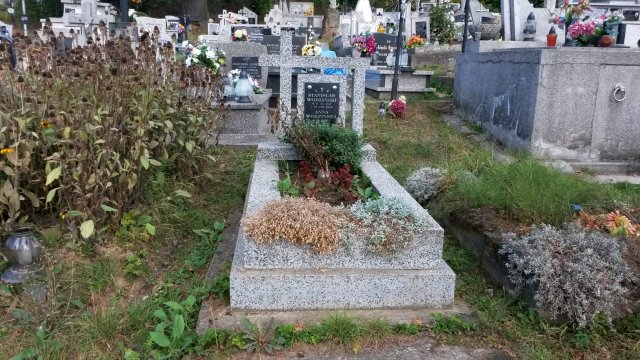 Anna Wodzińska 1914 Kołaczyce - Grobonet - Wyszukiwarka osób pochowanych