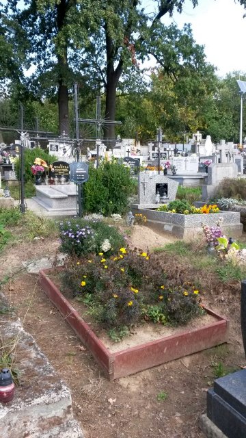 Janina Sękowska 1932 Kołaczyce - Grobonet - Wyszukiwarka osób pochowanych