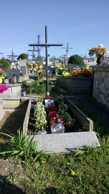 Julia Maziarz 1888 Kołaczyce - Grobonet - Wyszukiwarka osób pochowanych