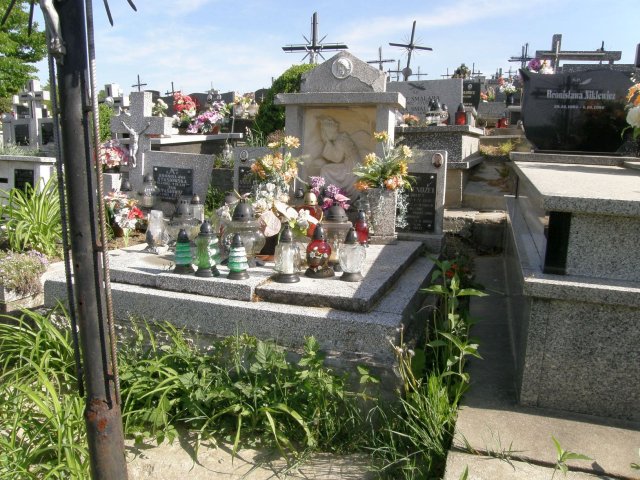 Stanisław Hendzel 1865 Kołaczyce - Grobonet - Wyszukiwarka osób pochowanych