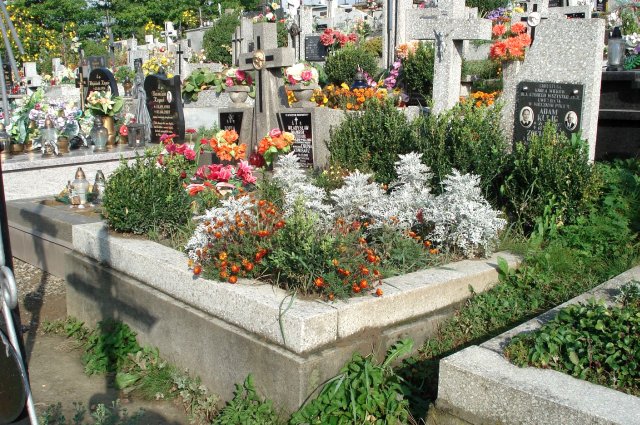 Adam Kulig 1907 Kołaczyce - Grobonet - Wyszukiwarka osób pochowanych