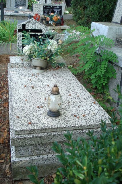 Czesław Śliwa Kołaczyce - Grobonet - Wyszukiwarka osób pochowanych