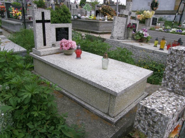 Piotr Wilisowski 1885 Kołaczyce - Grobonet - Wyszukiwarka osób pochowanych