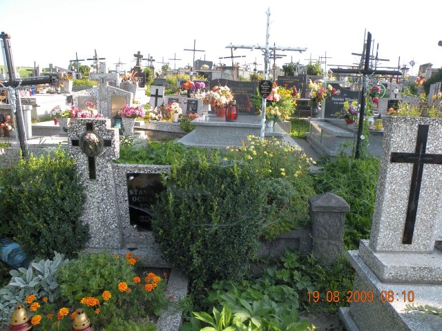 Janusz Kaleta 1963 Kołaczyce - Grobonet - Wyszukiwarka osób pochowanych