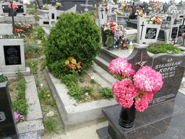 Wojciech Buczyński 1899 Kołaczyce - Grobonet - Wyszukiwarka osób pochowanych