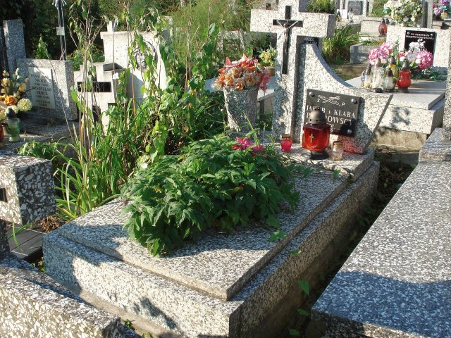 Klara Piotrowska Kołaczyce - Grobonet - Wyszukiwarka osób pochowanych