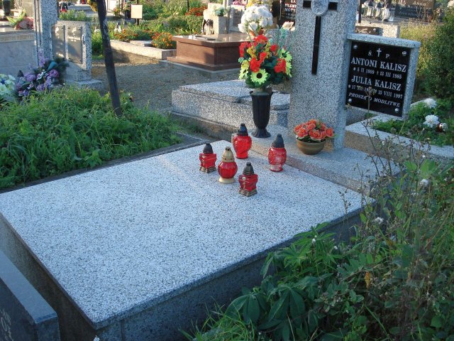 Julia Kalisz 1909 Kołaczyce - Grobonet - Wyszukiwarka osób pochowanych